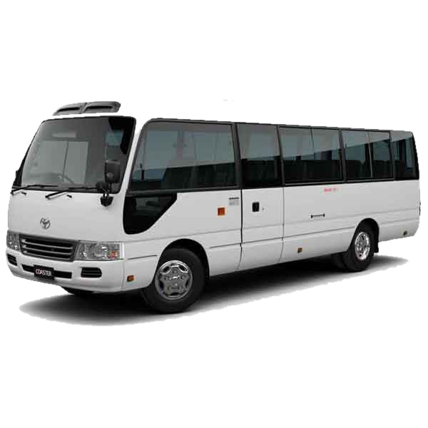Mini Coach